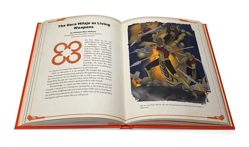 Black Panther: Protectors of Wakanda