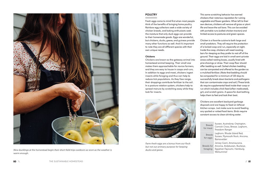 The Sustainable Homestead