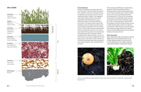 The Sustainable Homestead