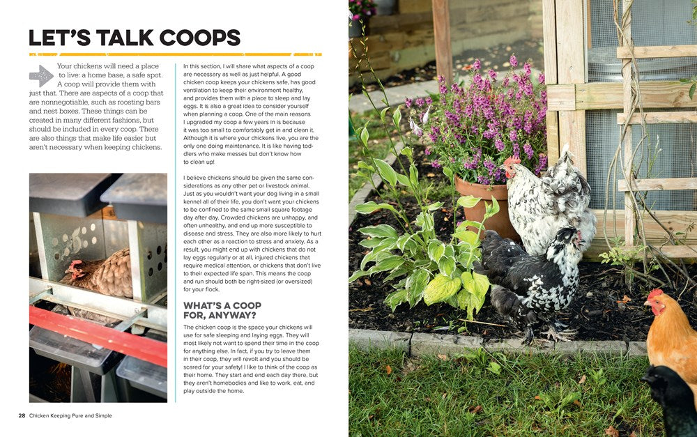 Chicken Keeping Pure and Simple