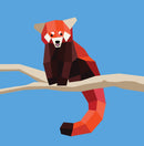 Paint by Sticker Kids: Zoo Animals