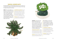 The Witchy Homestead