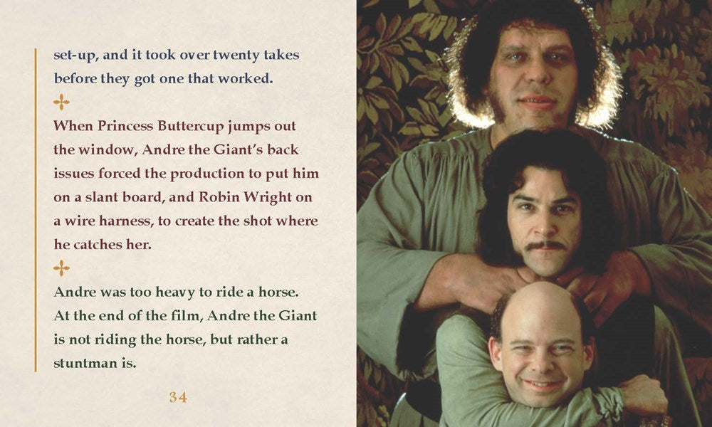 The Princess Bride Inigo Montoya Talking Bust