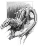 A Natural History of Dragons