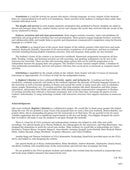 Beginner's Russian with Interactive Online Workbook, 2nd edition