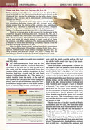 NIV, Chronological Study Bible, Hardcover, Comfort Print: Holy Bible, New International Version