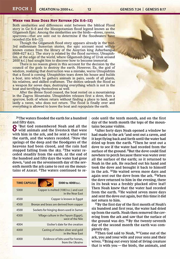 NIV, Chronological Study Bible, Hardcover, Comfort Print: Holy Bible, New International Version