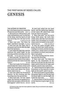 NKJV, Personal Size Large Print End-of-Verse Reference Bible, Verse Art Cover Collection, Leathersoft, Brown, Red Letter, Comfort Print