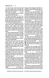 NKJV, Personal Size Large Print End-of-Verse Reference Bible, Verse Art Cover Collection, Leathersoft, Brown, Red Letter, Comfort Print