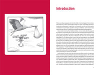 The Expectant Father