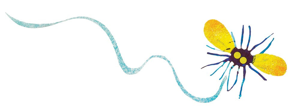 The Wide-Mouthed Frog: A POP-UP BOOK