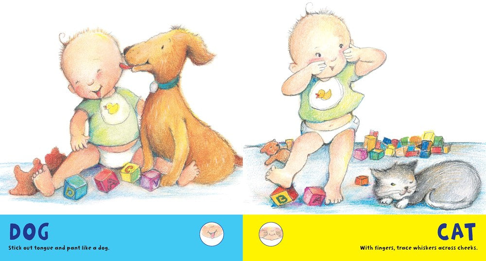 Baby Signs: A Baby-Sized Introduction to Speaking with Sign Language