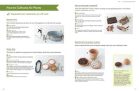 Living with Air Plants