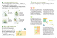 Living with Air Plants