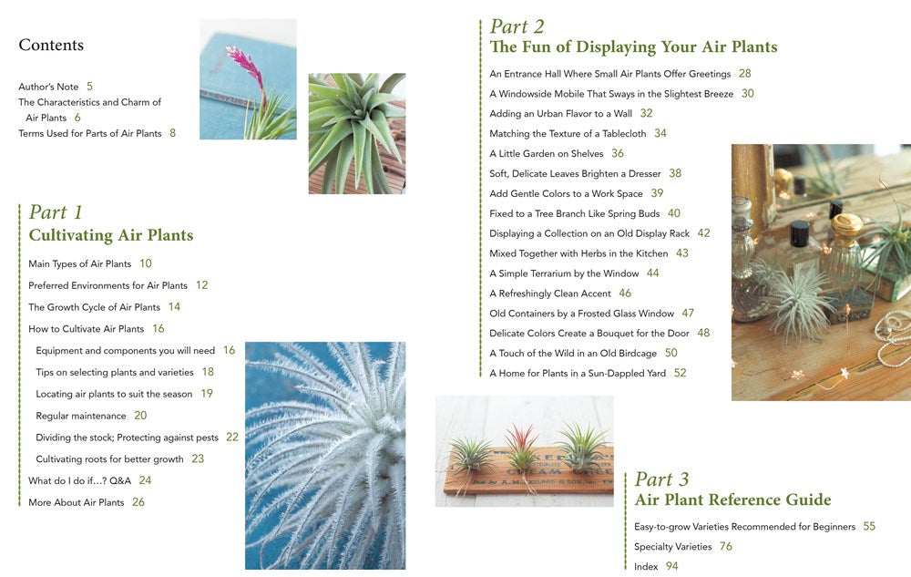 Living with Air Plants