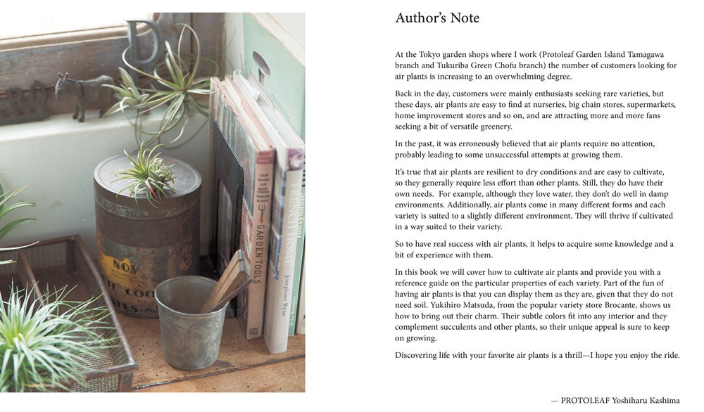 Living with Air Plants