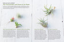Living with Air Plants