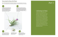 Living with Air Plants