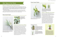 Living with Air Plants