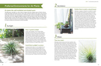 Living with Air Plants