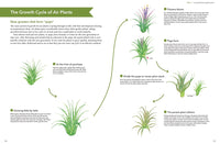 Living with Air Plants
