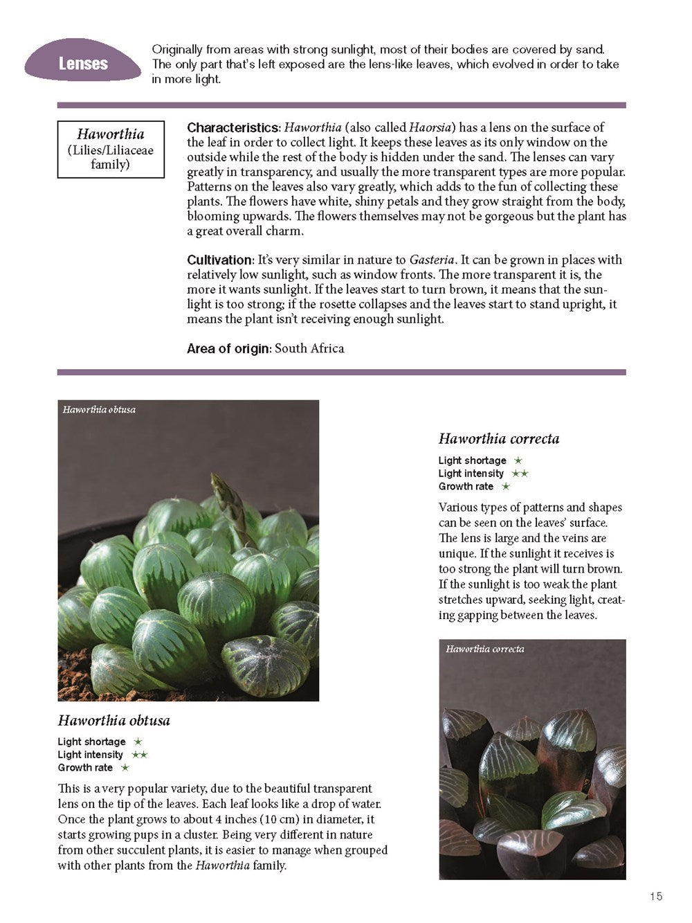 The Gardener's Guide to Succulents