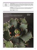 The Gardener's Guide to Succulents