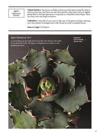 The Gardener's Guide to Succulents