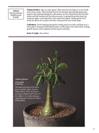 The Gardener's Guide to Succulents