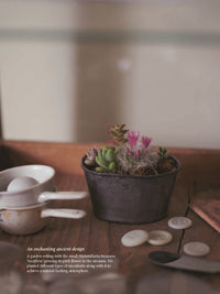 The Gardener's Guide to Succulents