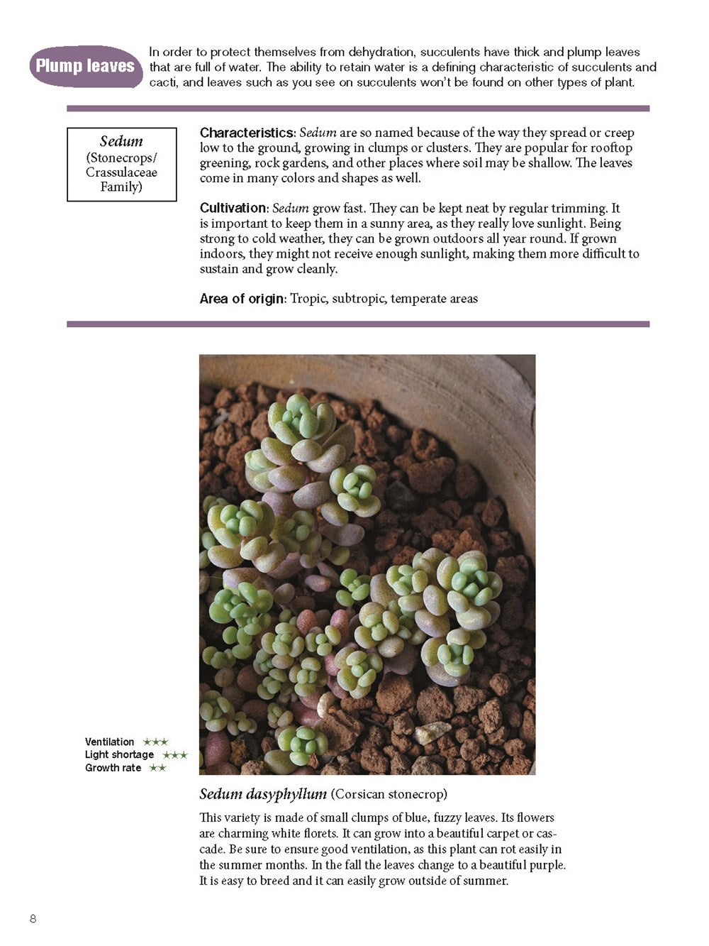 The Gardener's Guide to Succulents