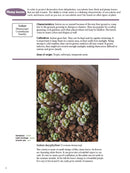 The Gardener's Guide to Succulents