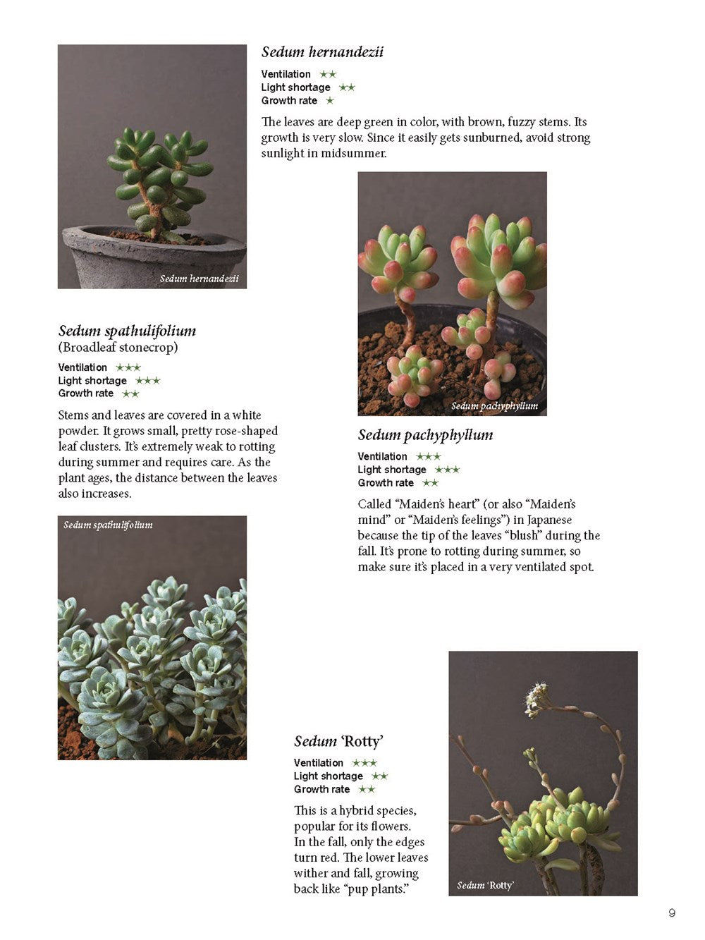 The Gardener's Guide to Succulents