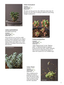 The Gardener's Guide to Succulents