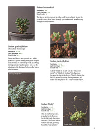 The Gardener's Guide to Succulents