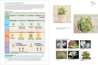 A Beginner's Guide to Succulent Gardening