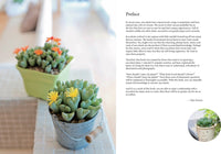 A Beginner's Guide to Succulent Gardening