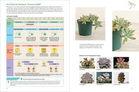 A Beginner's Guide to Succulent Gardening