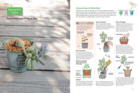 A Beginner's Guide to Succulent Gardening