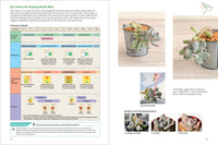 A Beginner's Guide to Succulent Gardening