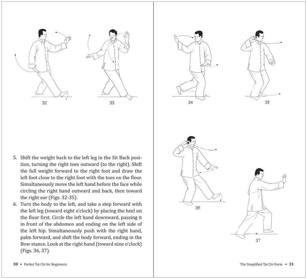 Pocket Tai Chi for Beginners