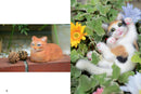 Fantastic Felted Cats