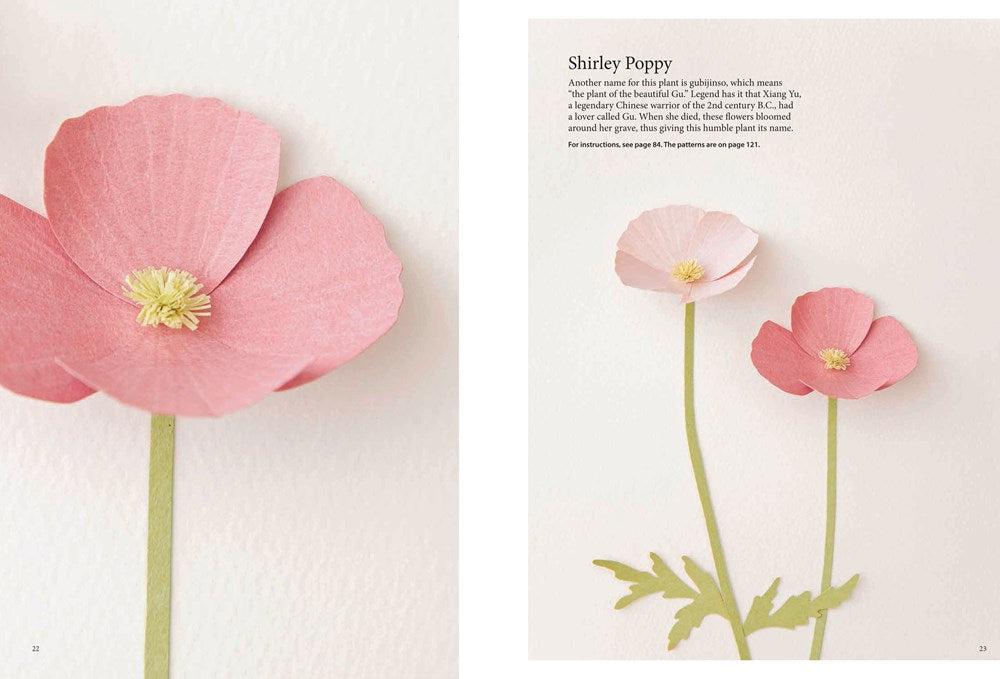 Fabulous Paper Flowers