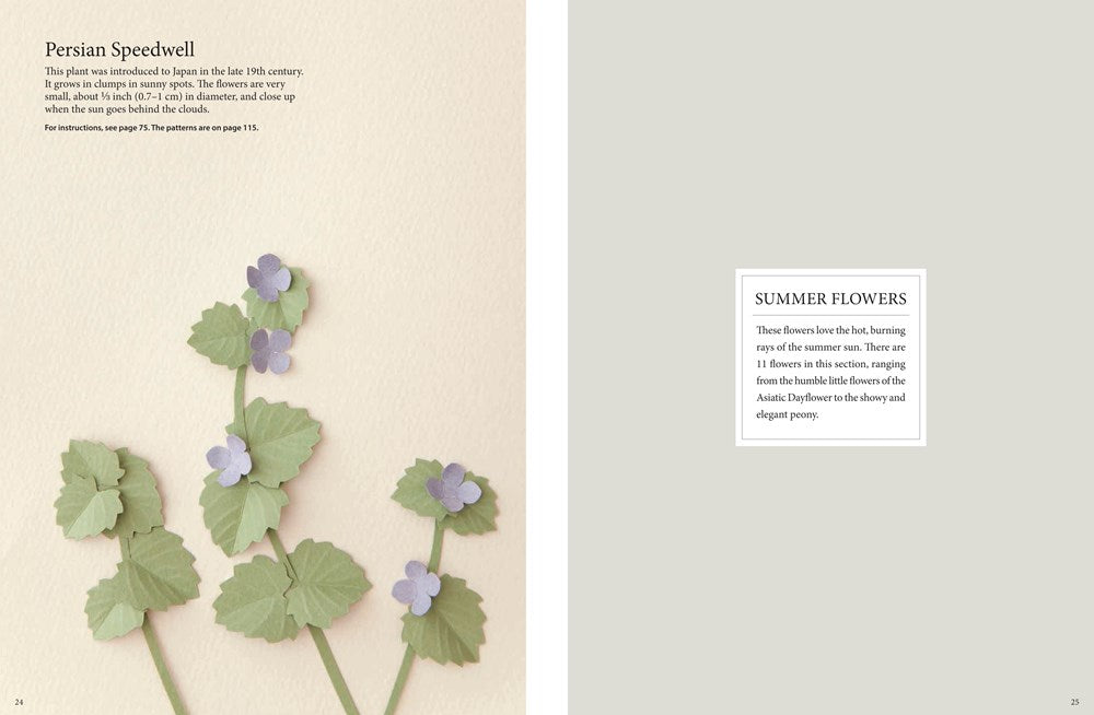 Fabulous Paper Flowers