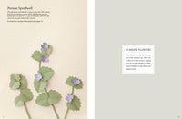 Fabulous Paper Flowers