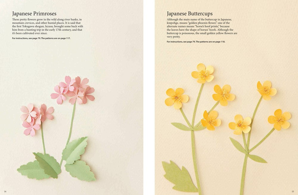 Fabulous Paper Flowers