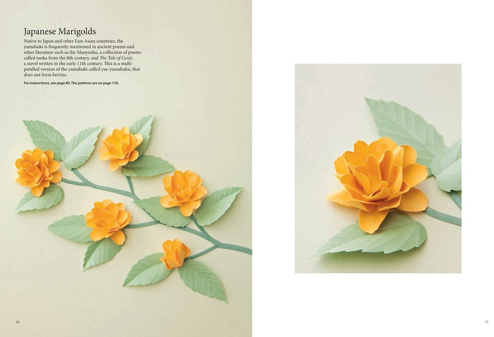 Fabulous Paper Flowers