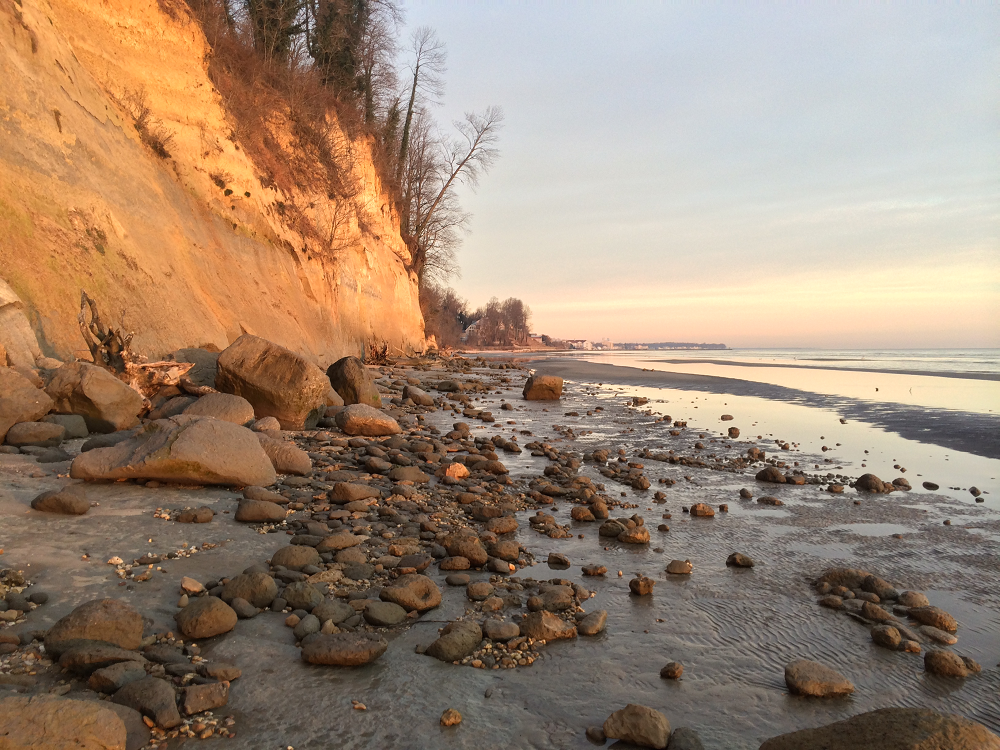 A Beachcomber's Guide to Fossils