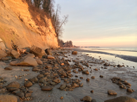 A Beachcomber's Guide to Fossils