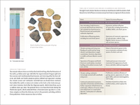 A Beachcomber's Guide to Fossils